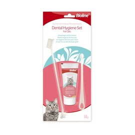 Bàn chải đánh răng cho mèo