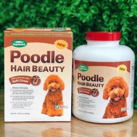 Dưỡng lông Poodle