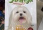 Snack cho chó vị sữa JerHigh
