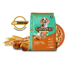 Ganador Adult chó lớn vị gà nướng 400g