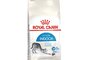 Hạt Royal Canin Indoor 27 Cho Mèo Trưởng Thành Nuôi Trong Nhà (2 KG)