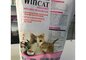 Wincat hạt cho mèo bầu 1kg