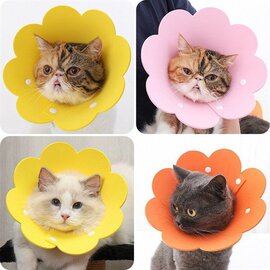 Loa chống liếm cho chó mèo hình bông hoa (cái)
