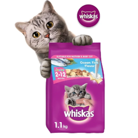 Hạt cho mèo con Whiskas 1.1 kg vị cá biển