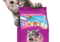 Hạt cho mèo con Whiskas 1.1 kg vị cá biển