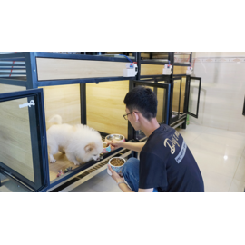 Trông giữ chó theo ngày (Từ 15 kg đến dưới 20kg) (Bạn)