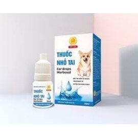 Thuốc nhỏ tai Win