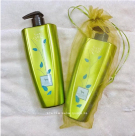 Sữa tắm Showqueen 500ML (Xanh)