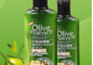 Sữa tắm Olive trừ ngứa và khử mùi