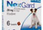 Phòng trị rận, ve Nexgard 4kg - 10kg (Viên)