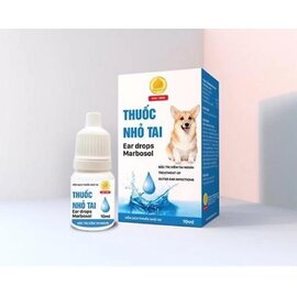 Nhỏ mắt Eyes drop (Lọ)