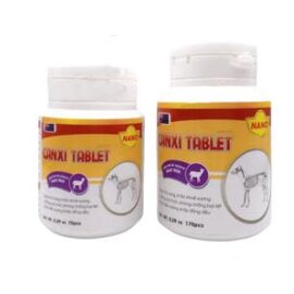 Viên bổ sung vitamin canxi cho chó mèo Canxi Tablet Nano