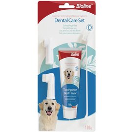 Bàn chải đánh răng cho chó